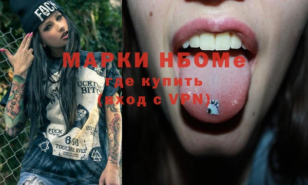 мдпв Богородицк