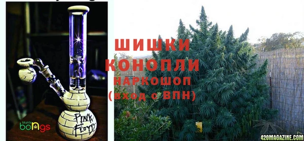 бошки Богородск